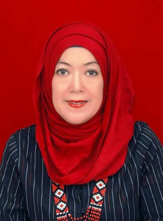 Profil - Dr. Dra. Hj. Nina Siti Salmaniah Siregar, MSi.Dr. Dra. Hj. Nina  Siti Salmaniah Siregar, MSi.